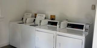 GROVE4213 Gallery 12