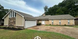 2295 Carrollwood Lane Gallery 1