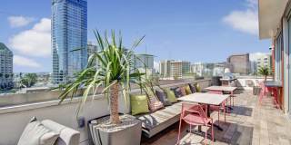 The Alamitos Gallery 28