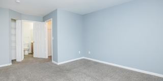 Meadow Creek Gallery 21
