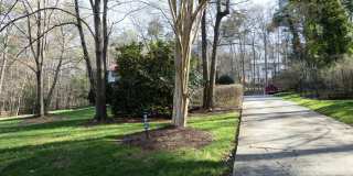 Beautifully renovated large home in CHCCS school district! Available mid-June! Gallery 5
