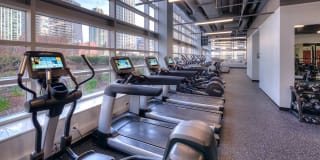 Grand Plaza Gallery 26