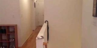 457 Monroe Boulevard Gallery 10