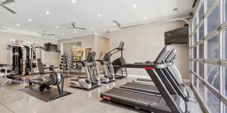 Encore North Gallery 15