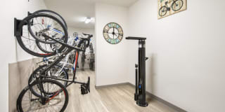 Breakwater Gallery 14