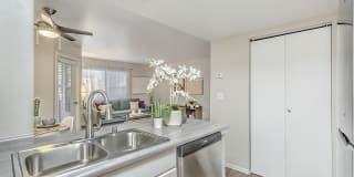 Desert Sage Gallery 2