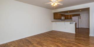 202 E 20th - 4-Bed/3-Bath Townhouse - Walking distance to stadium! Gallery 4