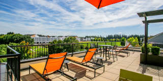 The Arbory Gallery 22