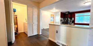Spacious 4BR House in Edgewater Gallery 22