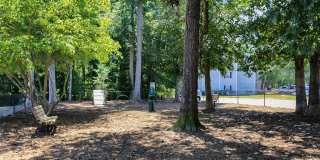 The Laurel Apartments Gallery 7