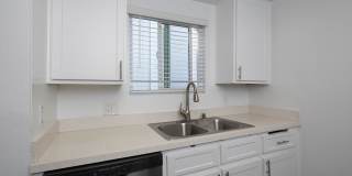 The Pacific at Mission Bay Gallery 31