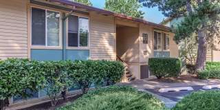 Carrington Gallery 38