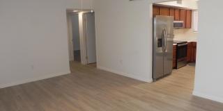 19911 N 146th Way Gallery 12