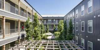 Thrive Argenta Gallery 21