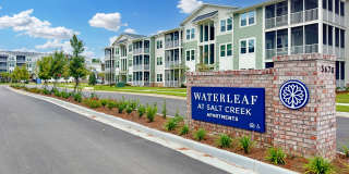 Waterleaf at Salt Creek Gallery 6