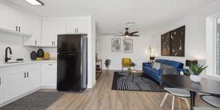 ReNew Biltmore Gallery 1