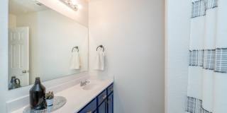 3609 MESQUITE CHASE Gallery 22