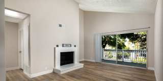 Harborview Gallery 2