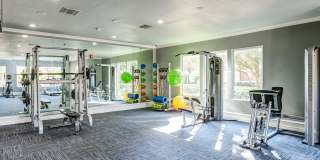 Ellery at Lake Sherwood Gallery 22