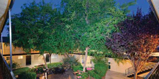 Woodside Place Apartments Gallery 16