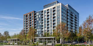 One at the Peninsula One at the Peninsula Gallery 27