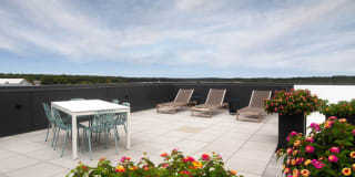 The Mastlight Gallery 16