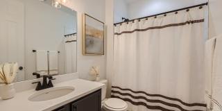Modern Comfort in Castle Rock: 2-Bed, 2-Bath Home!! Modern Comfort in Castle Rock: 2-Bed, 2-Bath Home!! Gallery 24