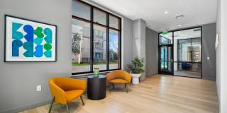 Edgewater Gallery 25