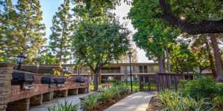 Saddleback Pines Gallery 9