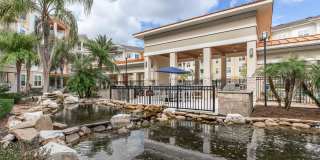 RIZE at Winter Springs Gallery 19