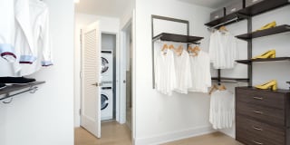 The Duchess Gallery 27