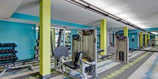 The Covington Gallery 15