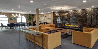 Vineyards Gallery 85