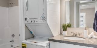 Rise Camelback Gallery 25