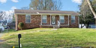 Pet Friendly Renovated Three Bedroom with Basement! Gallery 4