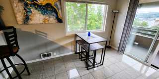 Furnished 2 bedroom Condo with view of Lake Union Gallery 5