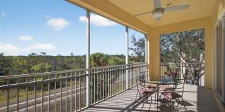 10418 Orchid Reserve Drive Gallery 32