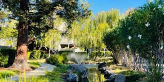 2512 La Terrace Circle Gallery 22