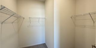 1513 Bat Hawk Street Gallery 26