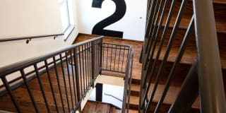 Magnolia on Zang Two Gallery 38