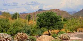 41440 N Bent Creek Way Gallery 36