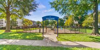 Milestone Gallery 13