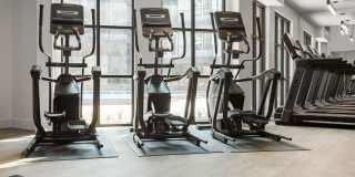 Troubadour Gallery 115