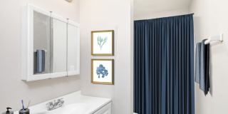 Village Court Apartments Gallery 33
