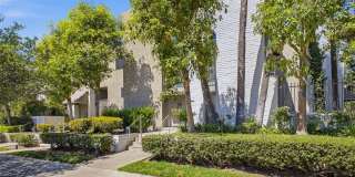 5305 White Oak Avenue 5305 White Oak Avenue Gallery 1