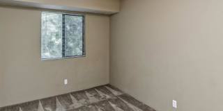 Maple View Apartments Gallery 15