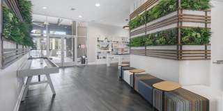 Almaden Lake Village Gallery 6