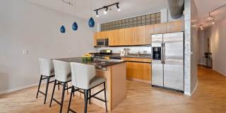 203 S SANGAMON Street Gallery 8