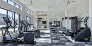 The Lights at Northwinds Gallery 8