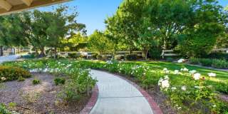 30605 De Portola Road Gallery 46